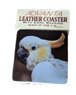 Coaster Cockatoo Parrot Design