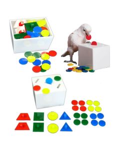Teach Bank Puzzle Toy and Teach Box - Medium