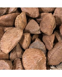 Brazil Nuts In Shell - Human Grade - 5kg