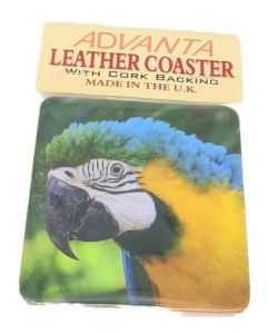 Coaster Blue & Gold Macaw