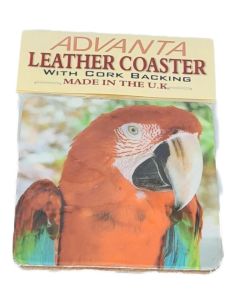 Coaster Greenwing Macaw