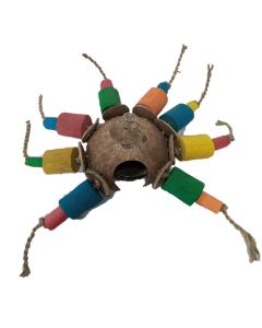 Kayu Coco Foraging Spider
