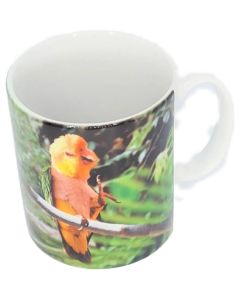 Gift Mug Caique Parrot Design