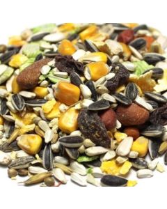 Skygold Oasis Parrot Seed Mix 2.5kg