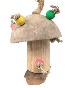 Kayu Small Mushroom