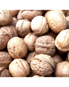 New Season Jumbo Hartley Walnuts - Human Grade- 25kg