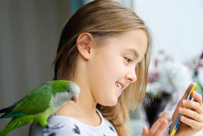 Parakeet healthcare