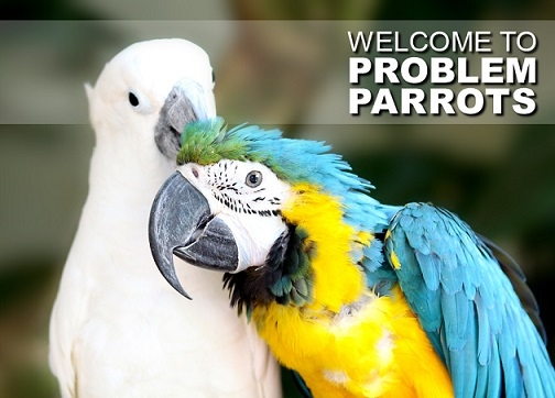 Problem Parrots